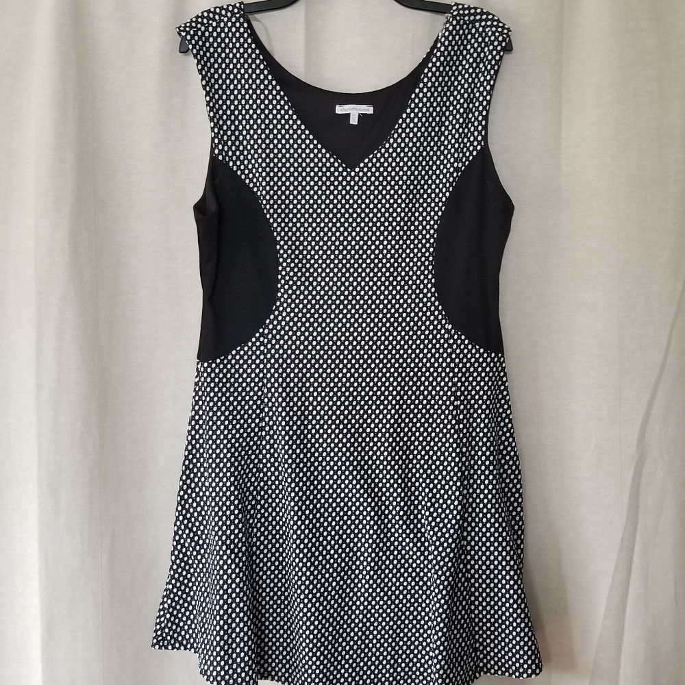 Charlotte RusseBlack & White Skater Dress